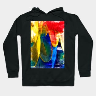 Close Up Chromatic Bird Feathers Abstract Pattern. For Feather & Bird Lovers. Hoodie